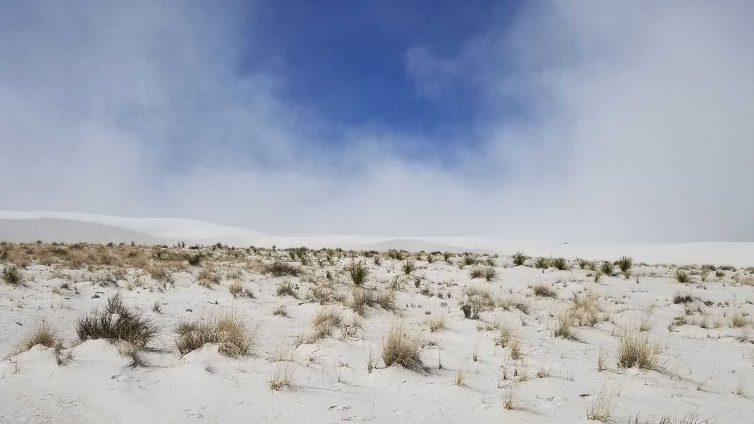 White Sands BackCountry Trail 